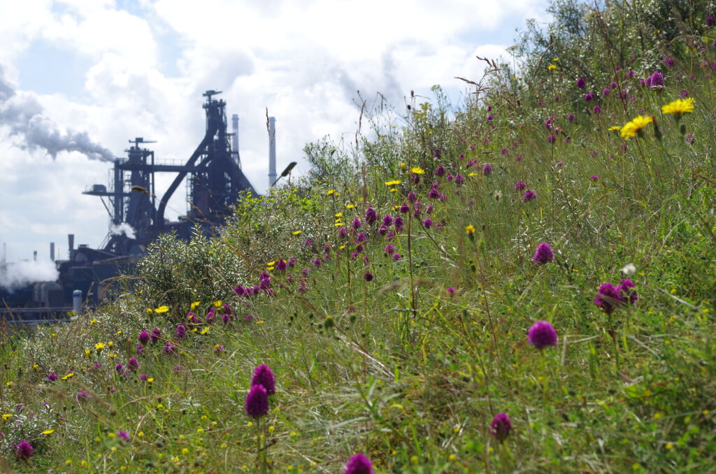 Tata Steel steekt miljoenen in voorkomen overlast